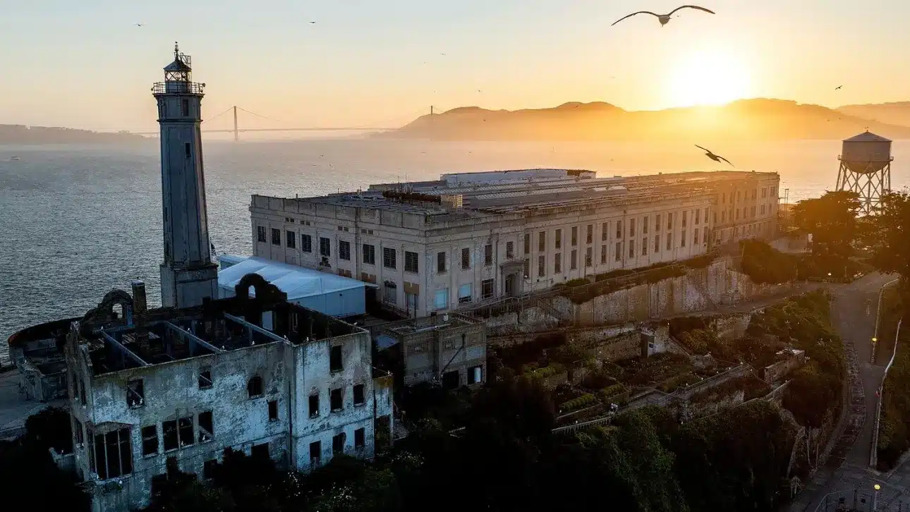 0768297a ap25125222535551