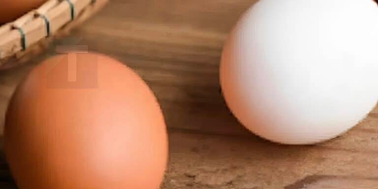 Γνωρίστε τη διαφορά μεταξύ ενός αυγού με λευκό κέλυφος και ενός καφέ αυγού