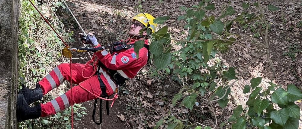 1000 81d51460 5fb7 4e18 b043 e7d852124236