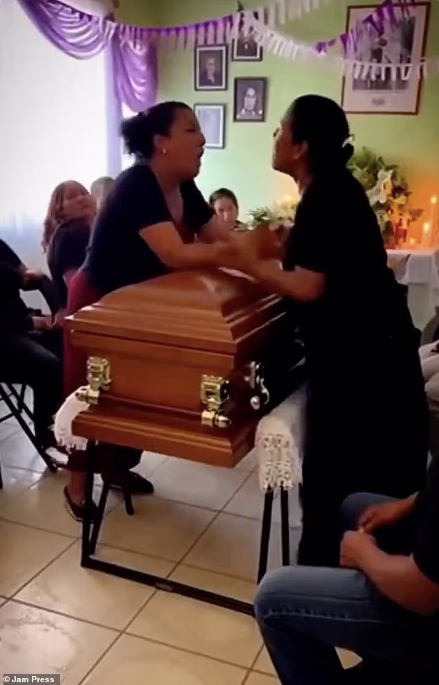 107737205 15715257 image m 4 1775642521293