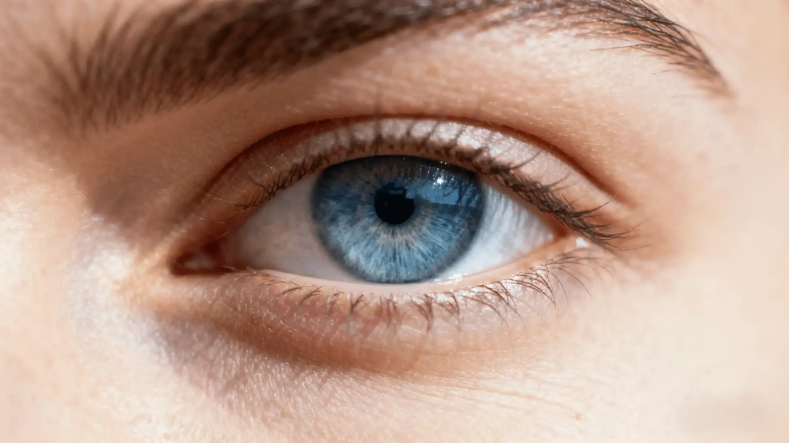 12 1 c2a3beb1 342e 47e7 b41e 633fea3a5c48 scaled