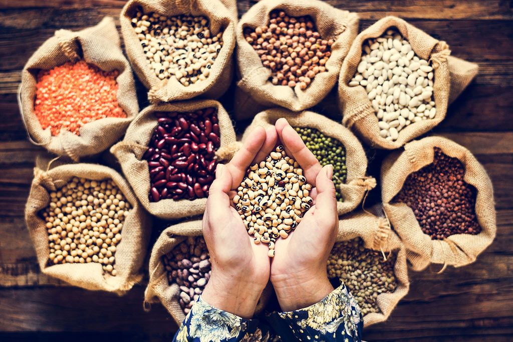 1643644345869 951034493 bigstock variety of beans products on t 246241253