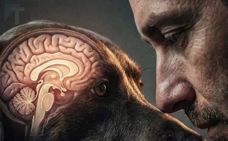 Γιατί το κατοικίδιό σου «κλέβει» τη θέση σου