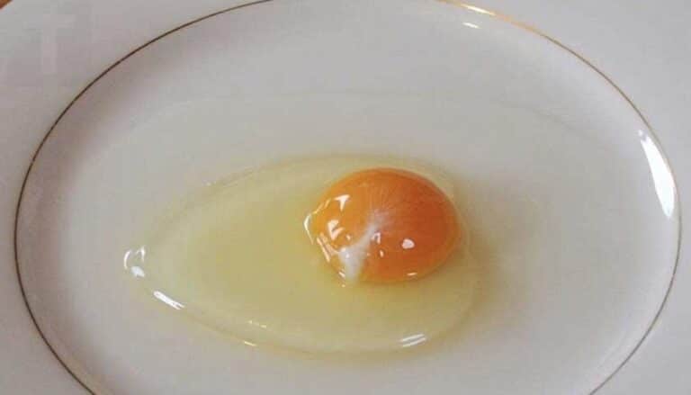 Τι είναι αυτό το άσπρο σε ένα αυγό