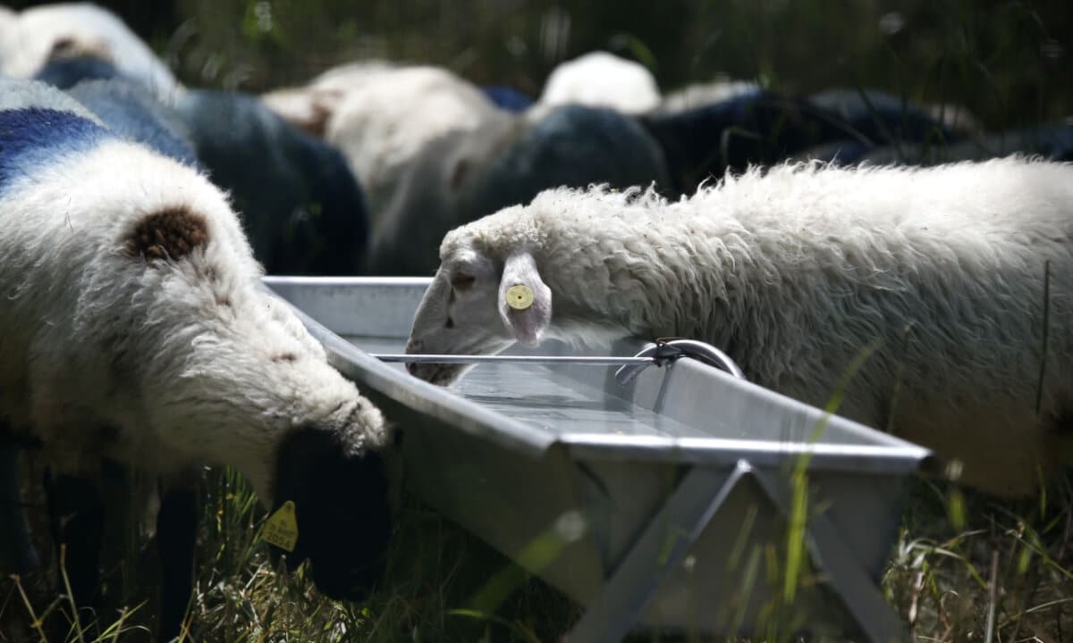 202604111800376586 1200x720 1