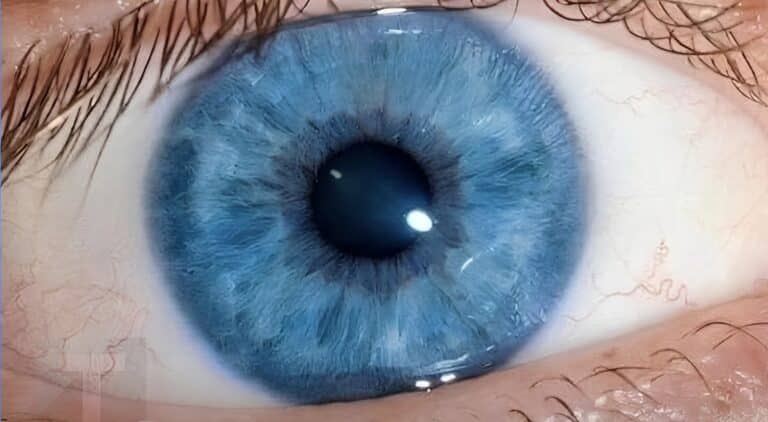 Όλοι οι γαλανομάτηδες έχουν αυτό το ένα κοινό χαρακτηριστικό