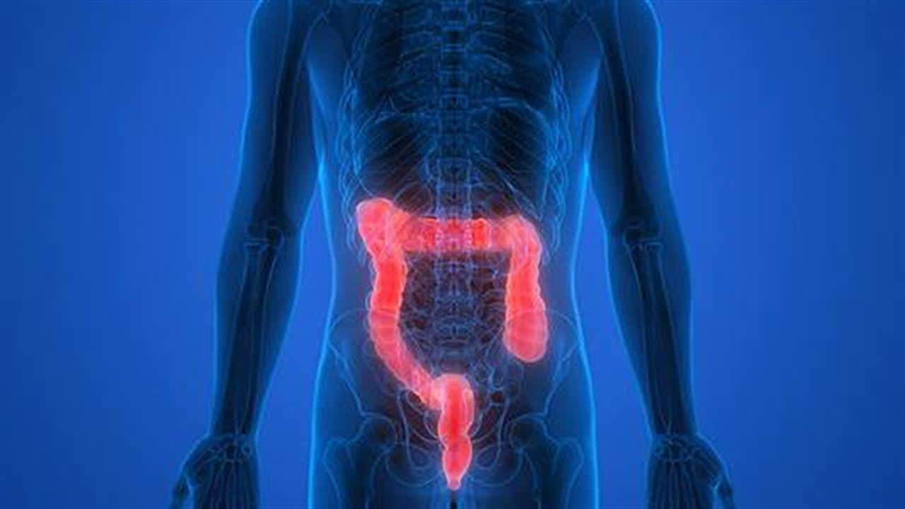 44172 entera adv 660