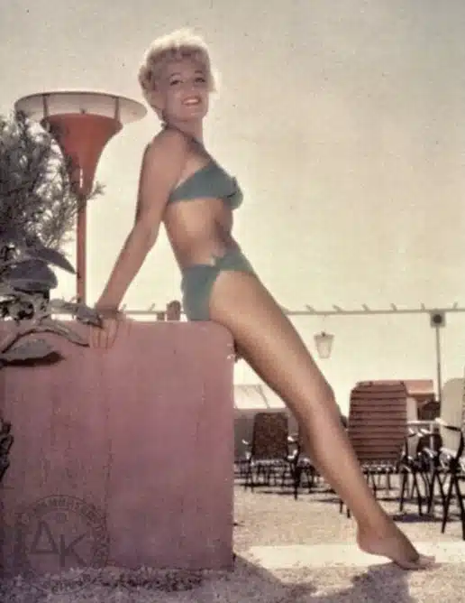 485769585 1133897422081859 5800995601279724277 n