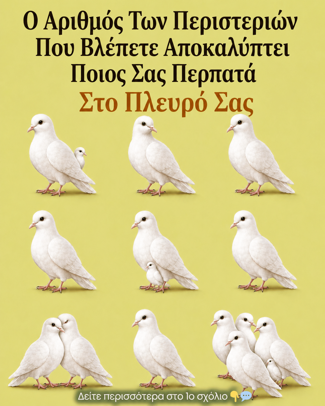 56efa80c 805f 4cd2 850b 16d8c01e4e61