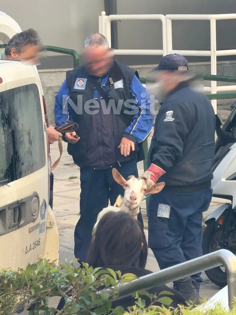 ampelokipoi zoa3 31032026