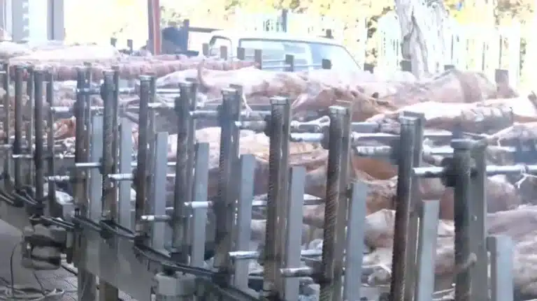 Πάτρα: Πάνω από 90 σούβλες έστησε κρεοπωλείο για take away