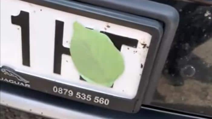 kolpo fyllo pinakida kykloforias2