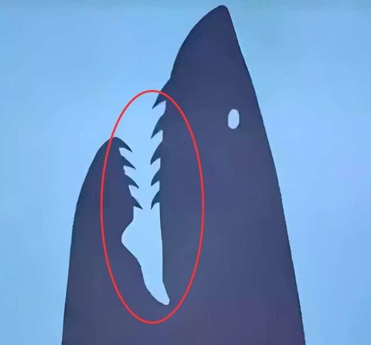 optical illusion personality test leg