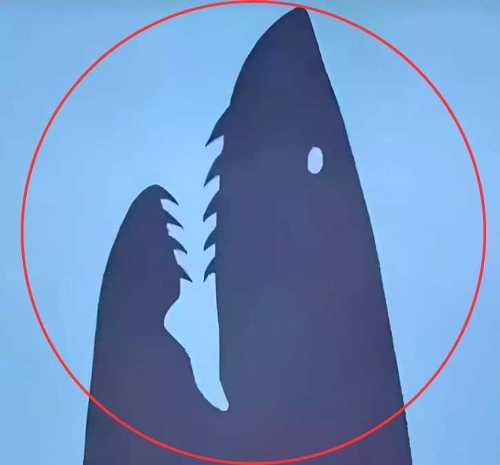 optical illusion personality test shark