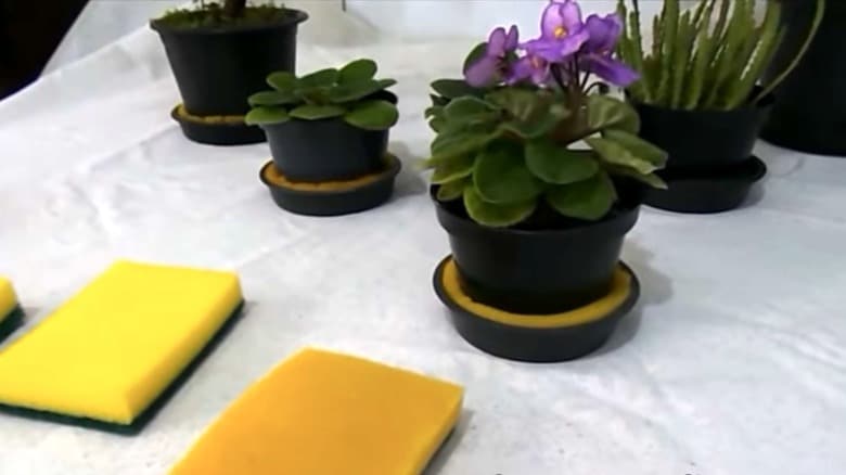 reinforce plant drip trays 1712072405