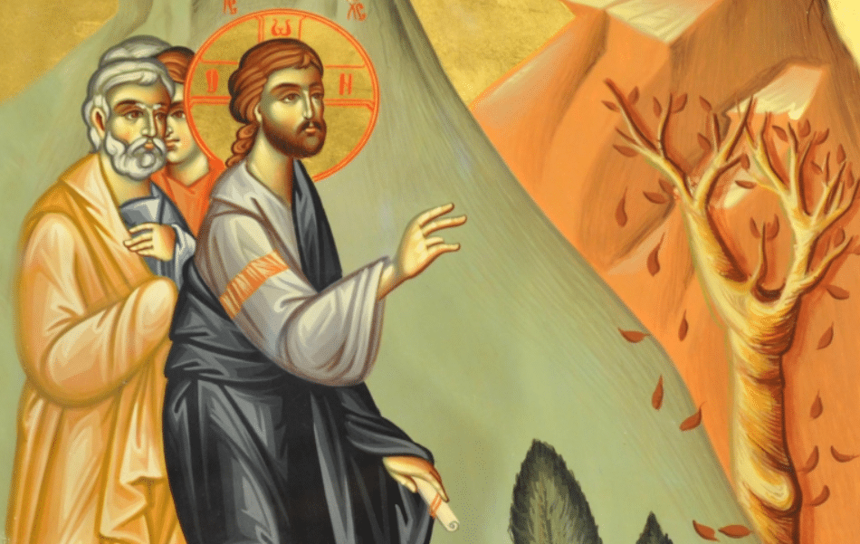 screenshot 2024 04 29 080530