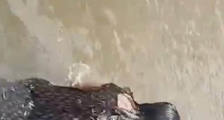 Ινδία: Τρεις έφηβες πνίγηκαν για μία selfie σε καταρράκτη