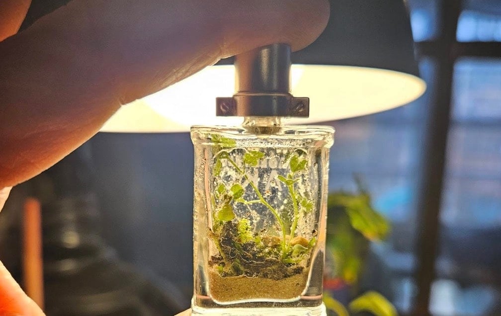 stigmiotypo othonis 2026 04 16 02.05.55