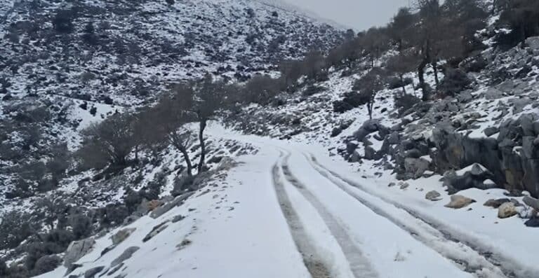 Ψυχρή εισβολή από την Αρκτική απειλεί την Ελλάδα – Κίνδυνος παγετού και ζημιών στην αγροτική παραγωγή
