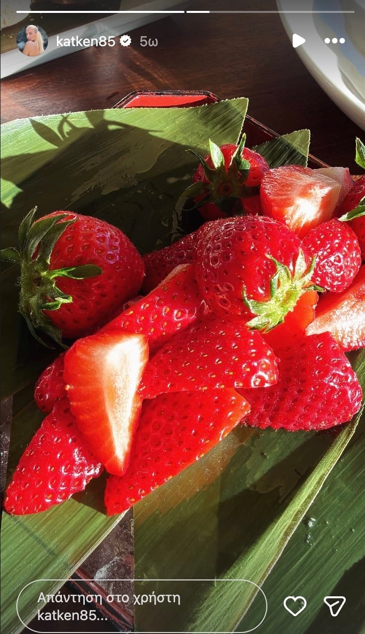 stigmiotypo othonis 2026 04 27 00.01.35