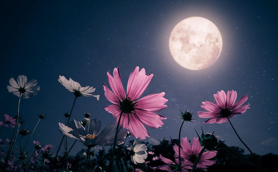 vancouver weather may flower moon full 2024