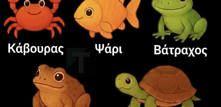 Τι μπορεί να αποκαλύψει το παζλ με το «διαφορετικό» ζώο