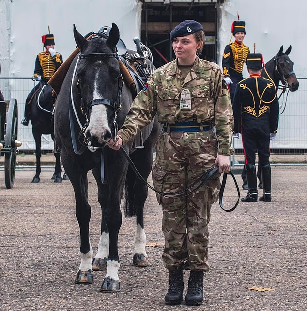 108694295 15827329 ciara sullivan who was in the king s troop royal horse artillery m 3 1779115128988