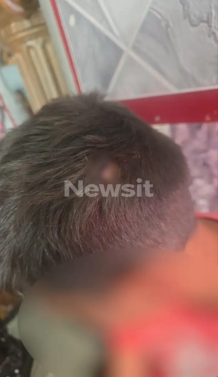 Κώστας Παπαδόπουλος: Ξυλοκόπησε άγρια ανήλικο Ρομά που έκλεψε το μαγαζί του στο Μενίδι – Στα δικαστήρια ο πρώην παίκτης του Survivor 3 agori paikthssurvivor