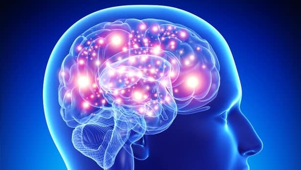 alzheimers disease presenilin protein 1
