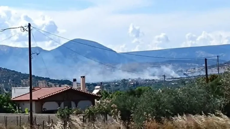 Φωτιά στα Καλύβια Θορικού – Ενισχύονται οι πυροσβεστικές δυνάμεις