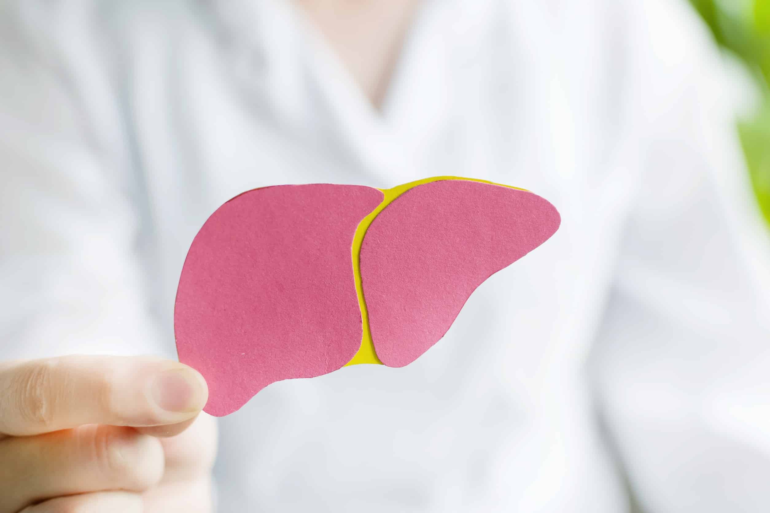 liver 1
