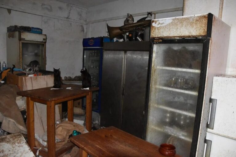 Δονούσα: Νέες καταγγελίες σοκ για τις γάτες της υπόθεσης-φρίκης