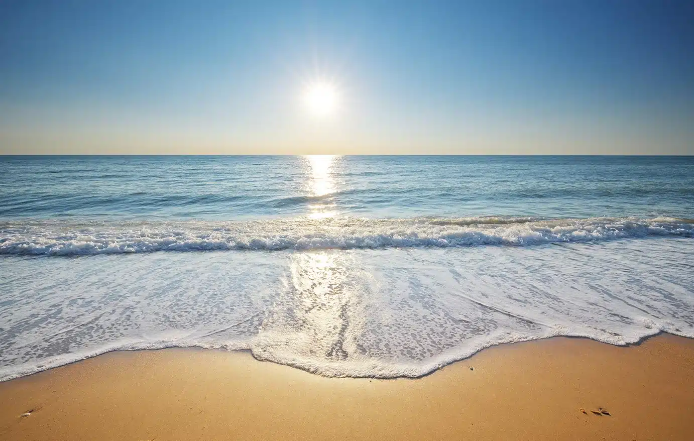 paralia