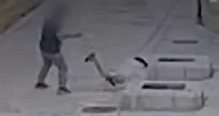 Σοκ στην Ιερουσαλήμ: Γαλλίδα μοναχή υπέστη άγριο ξυλοδαρμό στο Όρος Σιών – Συνελήφθη ο δράστης