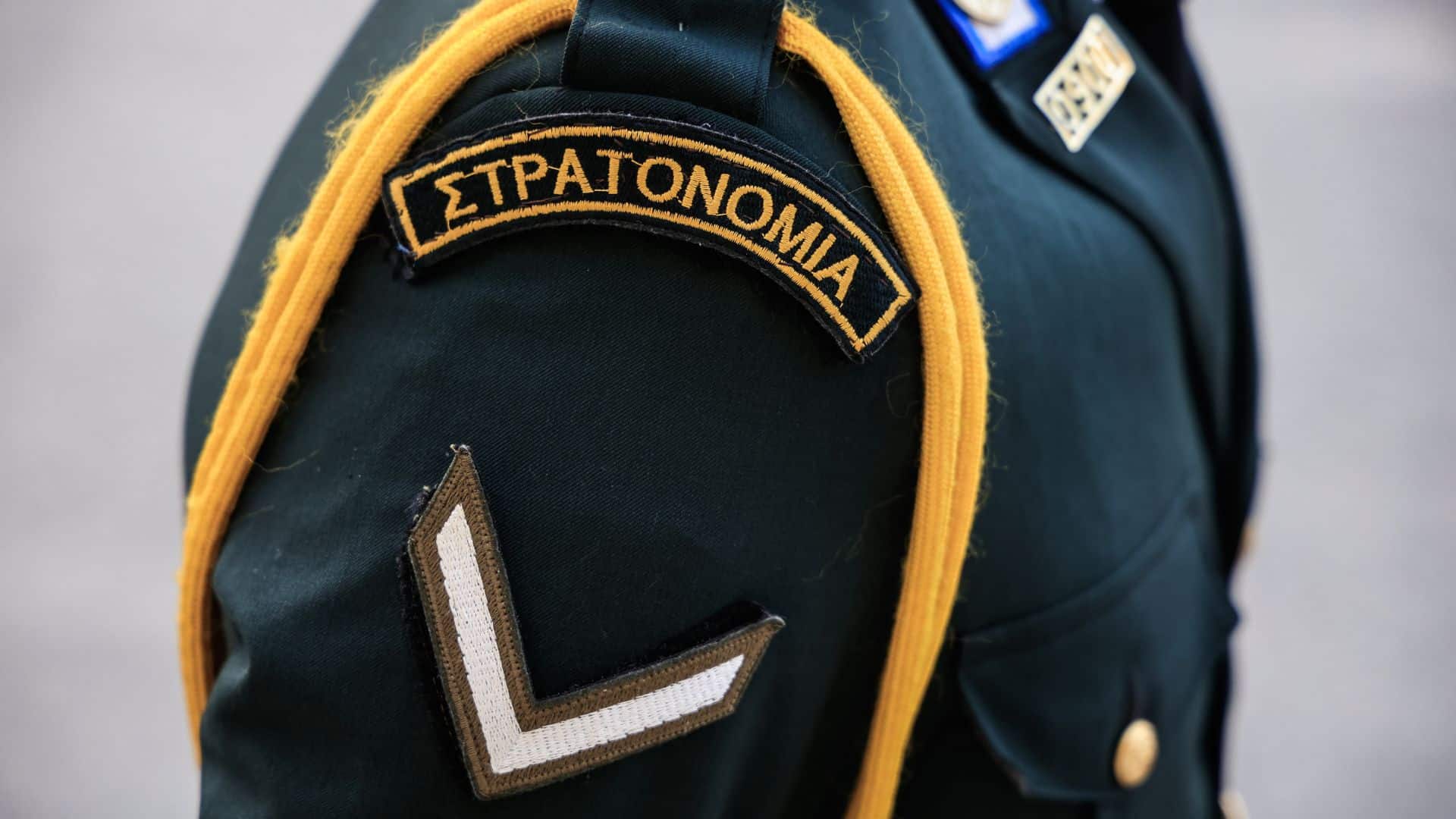 stratonomia new