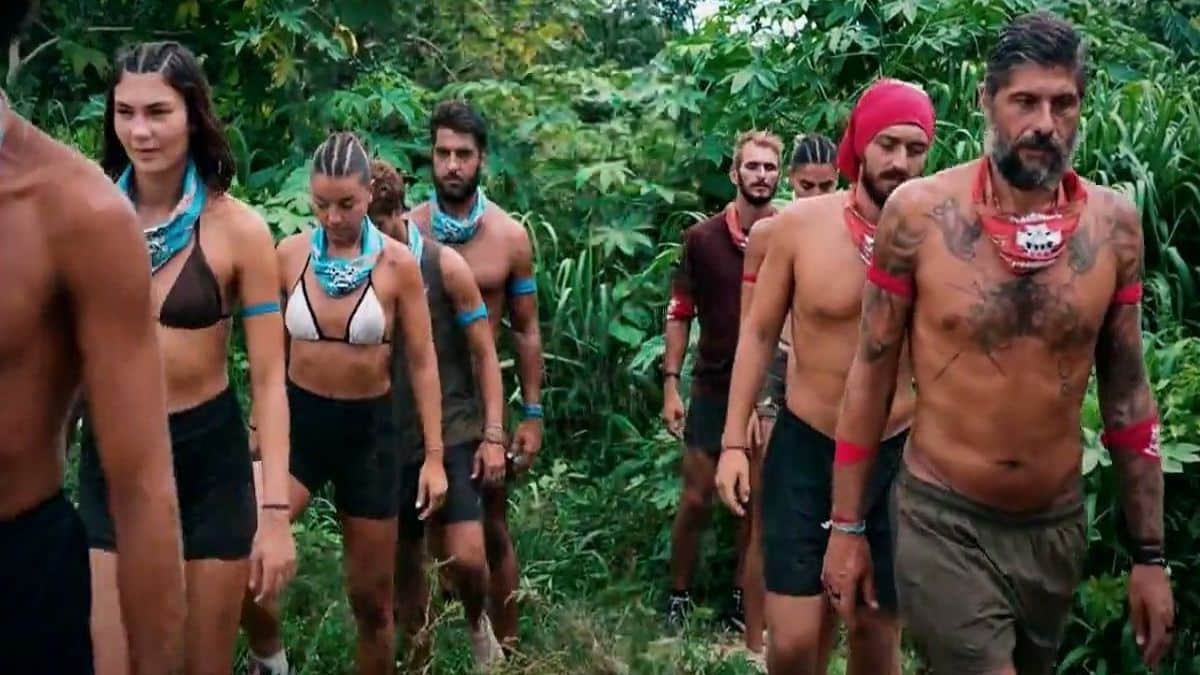 survivor 1 3