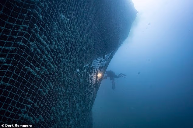 109198275 15882253 divers from healthy seas were removing ghost nets on an offshore m 112 1780908464211