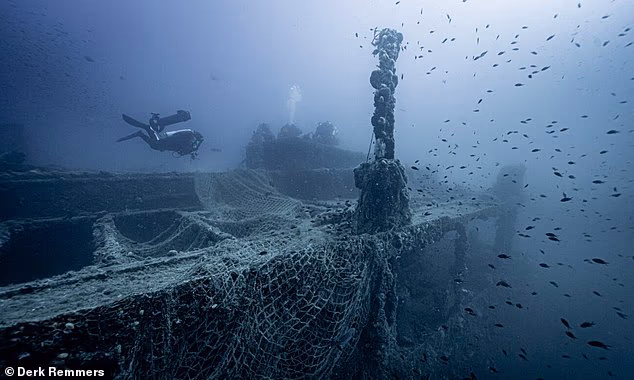 Λευκός καρχαρίας εντοπίστηκε για πρώτη φορά στη Μεσόγειο από δύτες – Ιστορική στιγμή για τους ερευνητές 4 109198279 15882253 the latest encounter took place while the team was working to re a 118 1780908538040