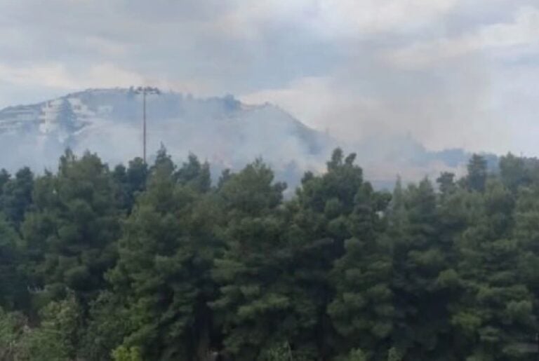 Φωτιά τώρα στη Φιλοθέη Αττικής, επιχειρούν 47 πυροσβέστες με 10 οχήματα – Σηκώθηκαν δύο ελικόπτερα