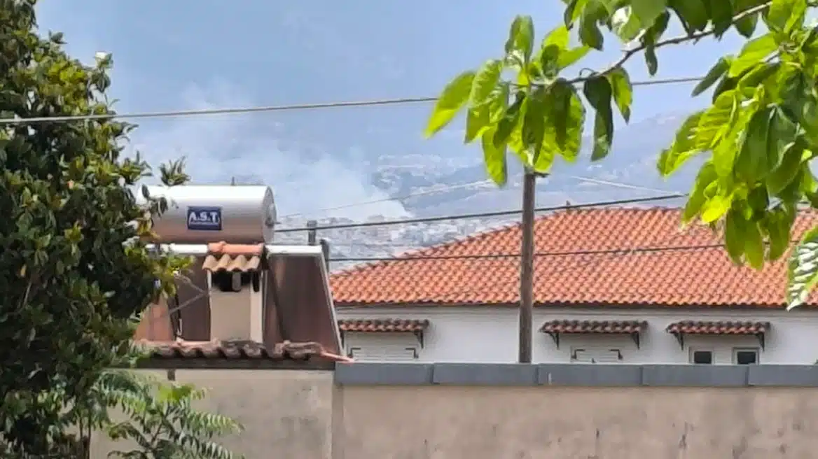 alsos veikou arthrou