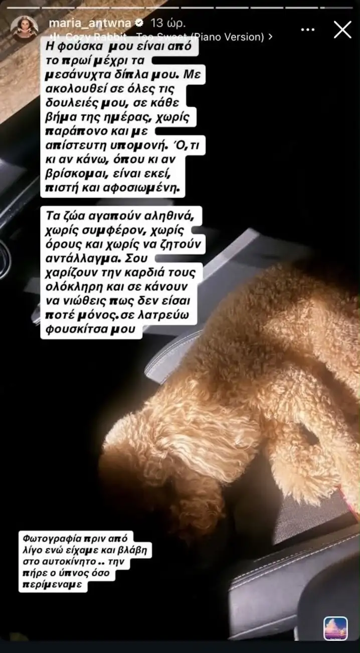 Γιώργος Λιάγκας – Μαρία Αντωνά: Στιγμές ταλαιπωρίας με τη σκυλίτσα τους μετά από βλάβη στο αυτοκίνητό τους 1 antona