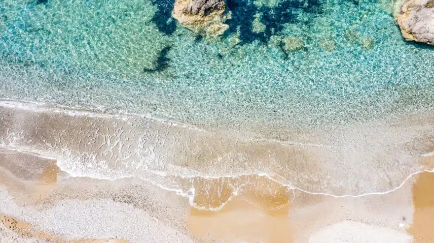 Τα 6 είδη λαγοκεφάλων που κολυμπάνε στις ελληνικές θάλασσες - Τα χαρακτηριστικά τους και ποιο είναι το πιο επικίνδυνο 6 arthrou mple shmaia paralia 1