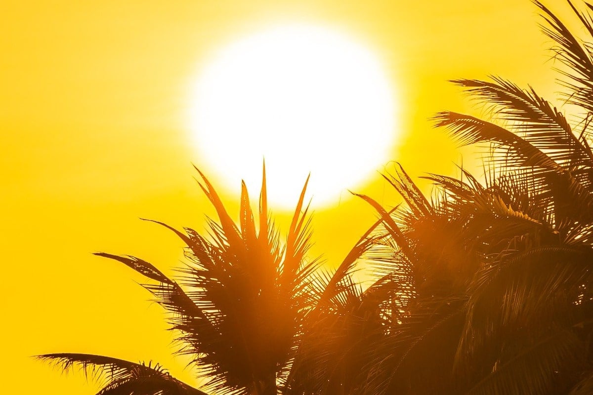 beautiful outdoor nature with sky sunset sunrise around coconut palm tree 1.9364cd
