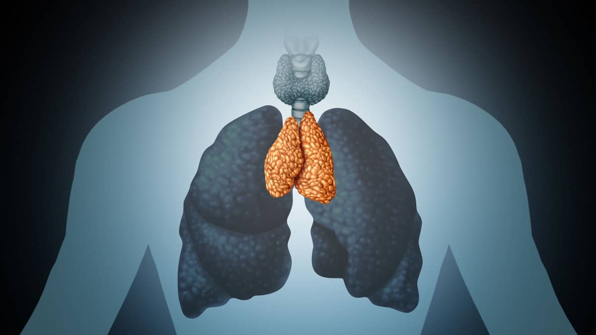 fa6651b8 thymus gland