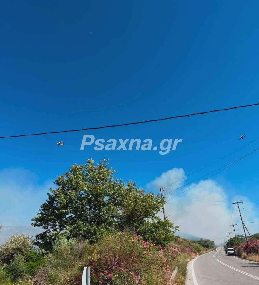 Μεγάλη φωτιά σε δάσος στην Εύβοια: Εκκενώνονται Μεσοχώρια και Ραπταίοι - Επιχειρούν 120 πυροσβέστες και 14 εναέρια 8 fotia evoia 20 6 5