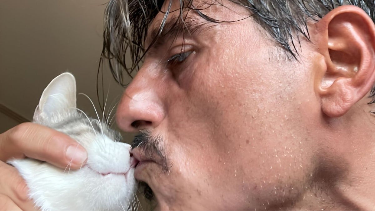 giannakopoulos gata fili 1