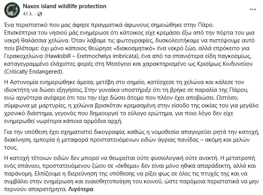 Νεκρή χελώνα από τα σπανιότερα είδη του κόσμου βρέθηκε κρεμασμένη ως «διακοσμητικό» έξω από σπίτι στην Πάρο 2 paros