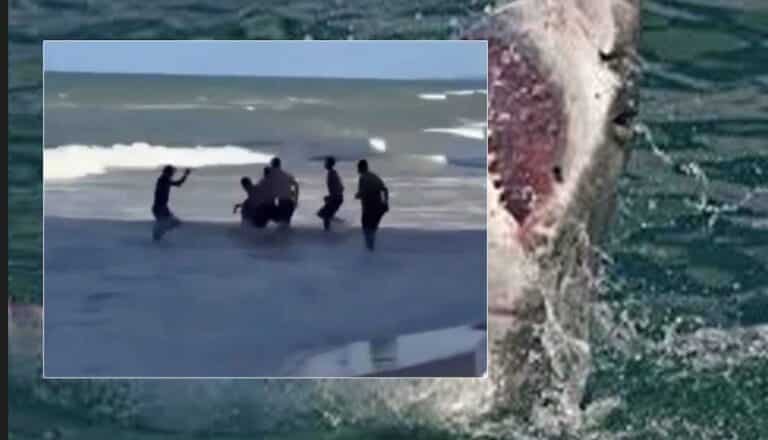 Καρχαρίας-τίγρης επιτέθηκε και δάγκωσε 19χρονη – Ακρωτηριάστηκε το πόδι της
