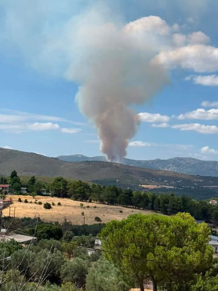 Μεγάλη φωτιά στην Οινόη του Δήμου Μάνδρας - Επιχειρούν εναέρια μέσα 6 738206592 996158726733289 2980370183588093216 n