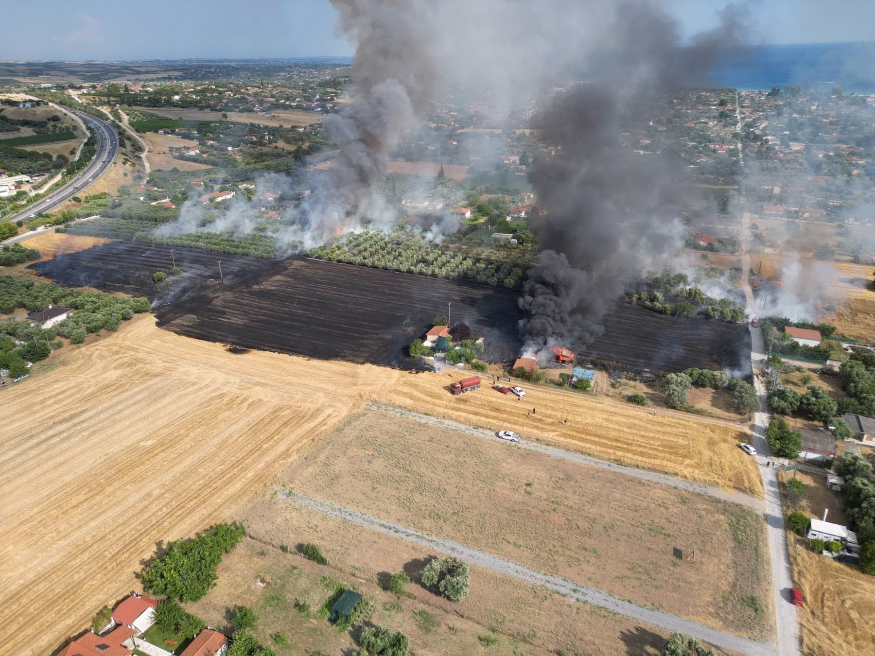 Φωτιά στη Καλλικράτεια Χαλκιδικής - 112 για εκκένωση των οικισμών Κηπούπολη και Αμπελάκια, κοντά στα σπίτια οι φλόγες 2 738667921 10244111026941381 1502739485411987240 n